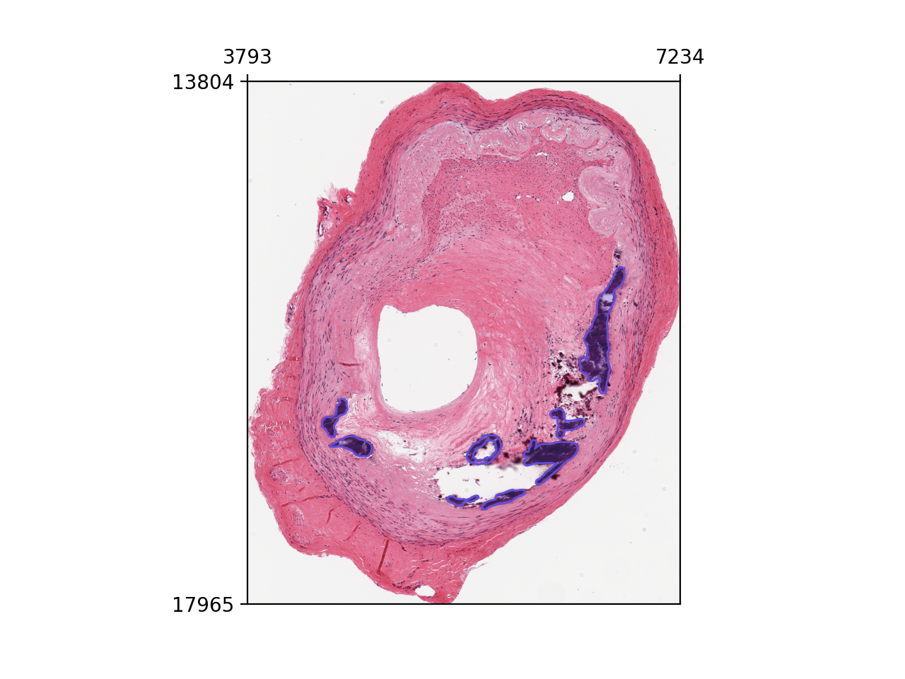 ../_images/06_visualization-24.png